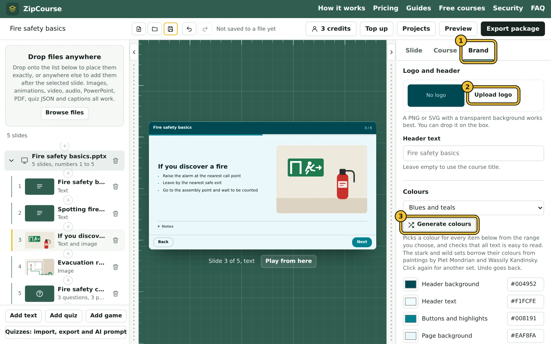 The Brand tab, with the logo, header text and colour settings